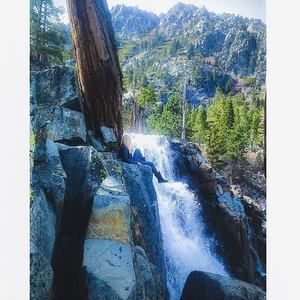 Meet your Posher, Torie lee